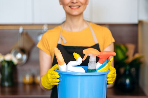 Brodheadsville Maid Services